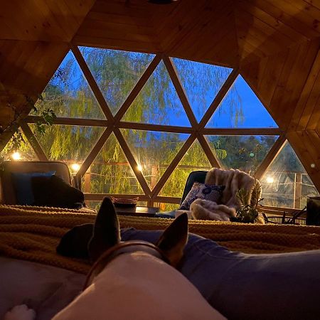 Glamping Cantabria 通哈 外观 照片