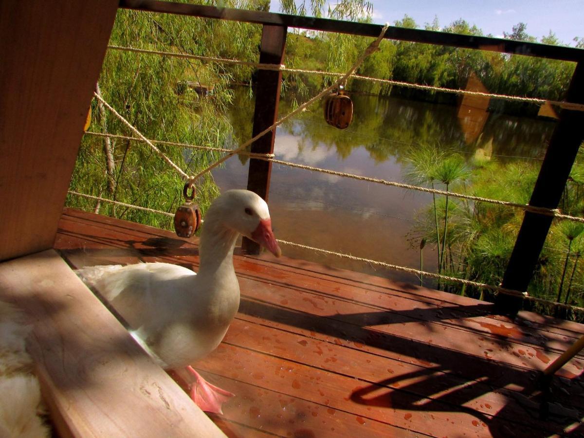 Glamping Cantabria 通哈 外观 照片