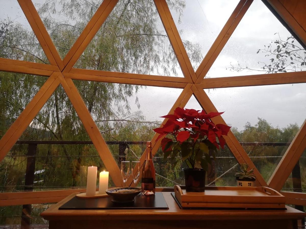 Glamping Cantabria 通哈 外观 照片