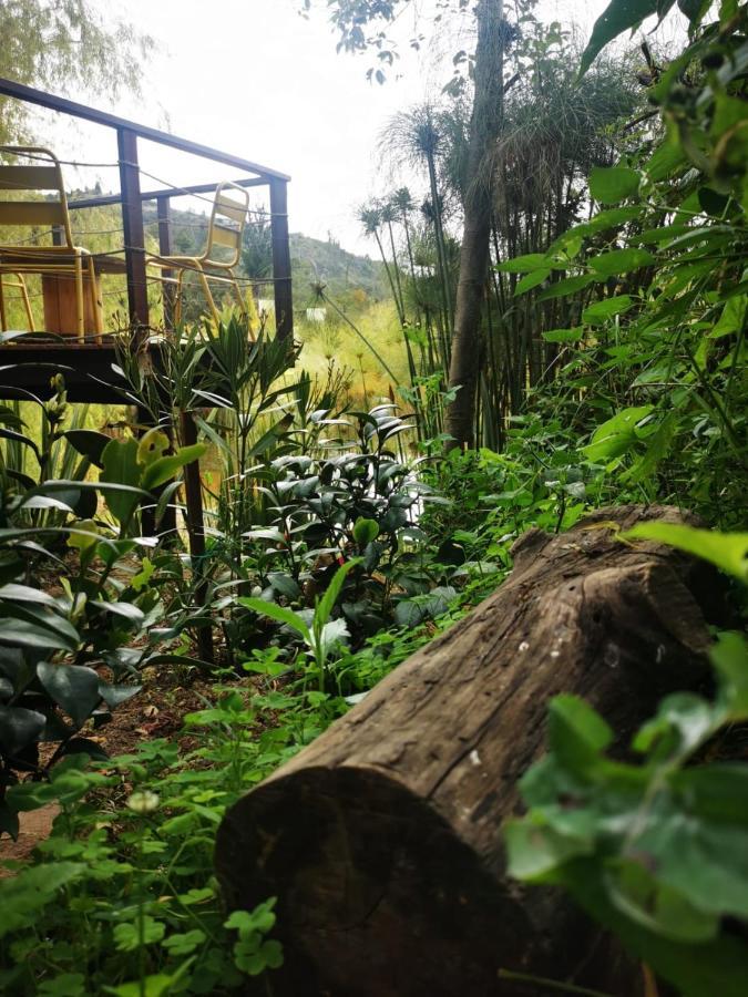 Glamping Cantabria 通哈 外观 照片