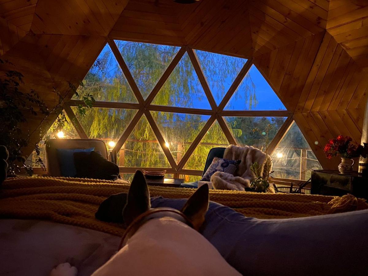 Glamping Cantabria 通哈 外观 照片